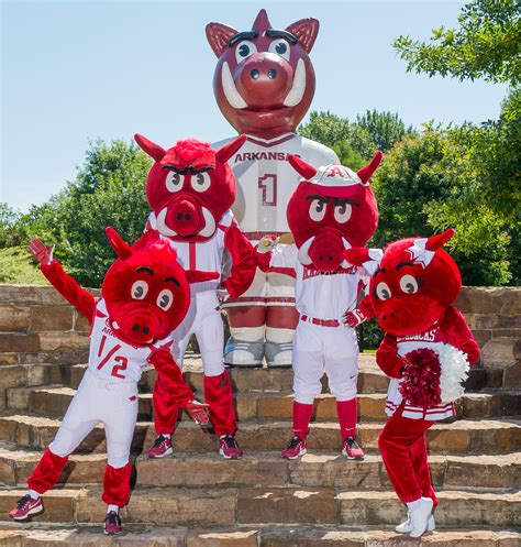 How Arkansas Mascots Boost Team Morale and Fan Engagement
